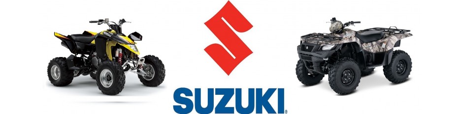 Cuscinetti Ruota Libera Quad Suzuki