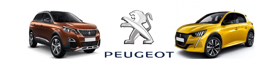 Ricambi Peugeot