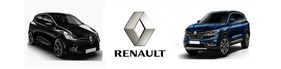 Ricambi Renault